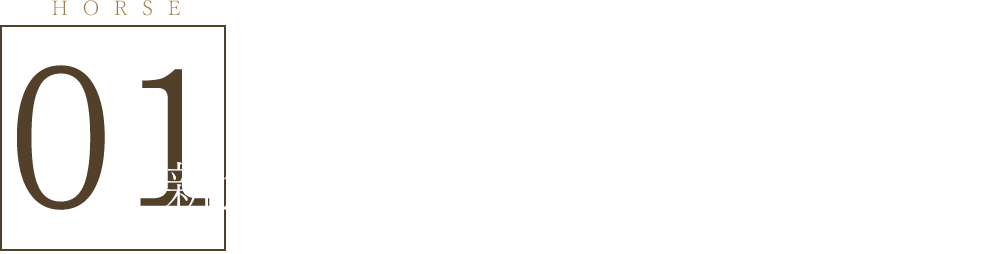 1.新鮮で質の良い馬肉